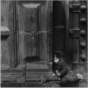 Cold Comfort