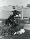 Rotech Dinosaur-1