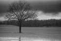Dreary winter day