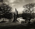 WEALD 02