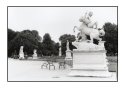 Tuileries - Paris