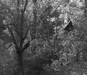 Digitised neg for silver gelatin test.