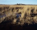 Looking inland