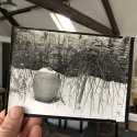 Winter Garden