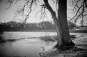 Thawing pond