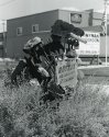 Rotech Dinosaur-2