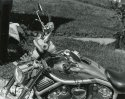 Harley Frog