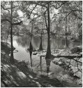 Suwanee River SP