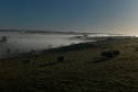 Mists At Lancombe Bottom