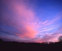 Late afternoon