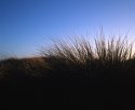 Coastal silhouette