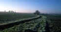 Frosty morning