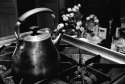 Mark's Kettle, Nadine's Flowers