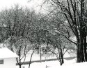 Sonatas VIII-10 (Andante Felice) - Untouched