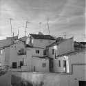 Cubist Tarancon
