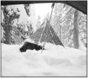 Judy's Tent. 1967