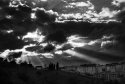 IMG_4871
