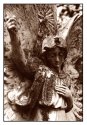 Sepia Angel
