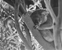 Naptime, comments welcome.
