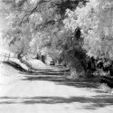 Country Road, Car