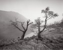 Llyn Dinas