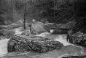 Downstream - Collins River headwaters