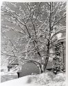Sticky snow