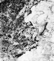 Surface