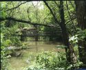 Chisolm Creek