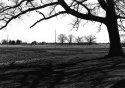 Landscape And Shadows