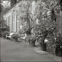 Orangerie