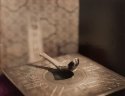 Chinese compass