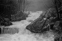 Upstream - head of Collins River