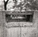 MillerKnox2019-071-B