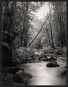 Wollondilly