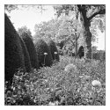The perfumed garden