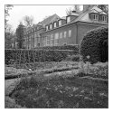 House and garden