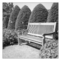 garden bench