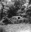 ZaneHolga2