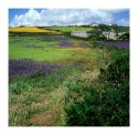Nanquidno - Cornwall