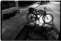 Shadow Cycle