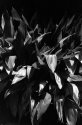 Hosta la vista, baby