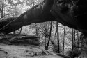 Princess Arch