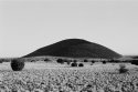 Un-named Cinder Cone