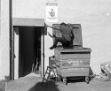 MAN IN A BIN