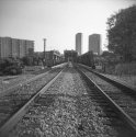 Friday Holga