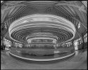 Glen Echo Carousel, Fisheye, Horizontal
