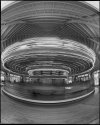 Glen Echo Carousel, Fisheye, Vertical