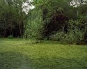 Green Multiplicity