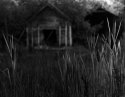 Finn Slough